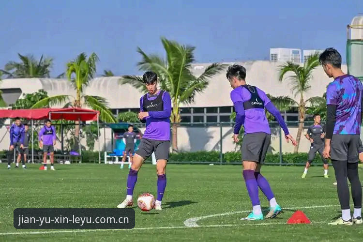 乐鱼体育数据替代宝威 乐鱼体育数据替代宝威 vs 原版宝威:足球迷老姜的“换芯”体验报告